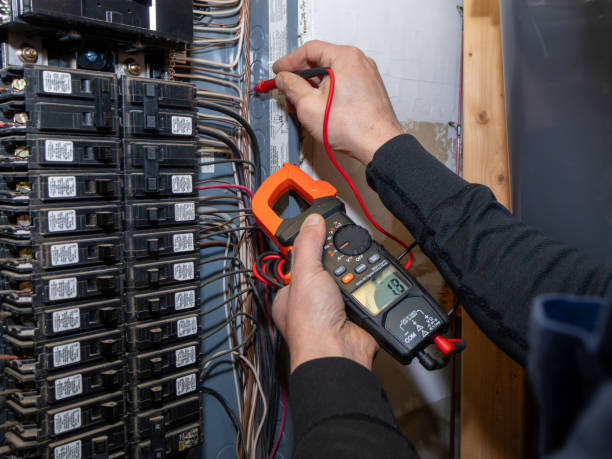 Best Generator Installation Services  in Hudson Lake, IN