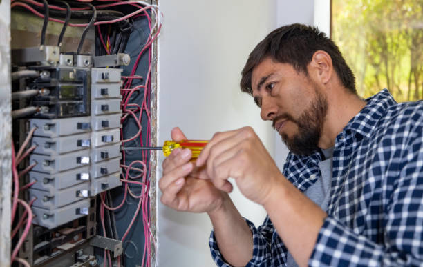 Best Affordable Electrician  in Hudson Lake, IN